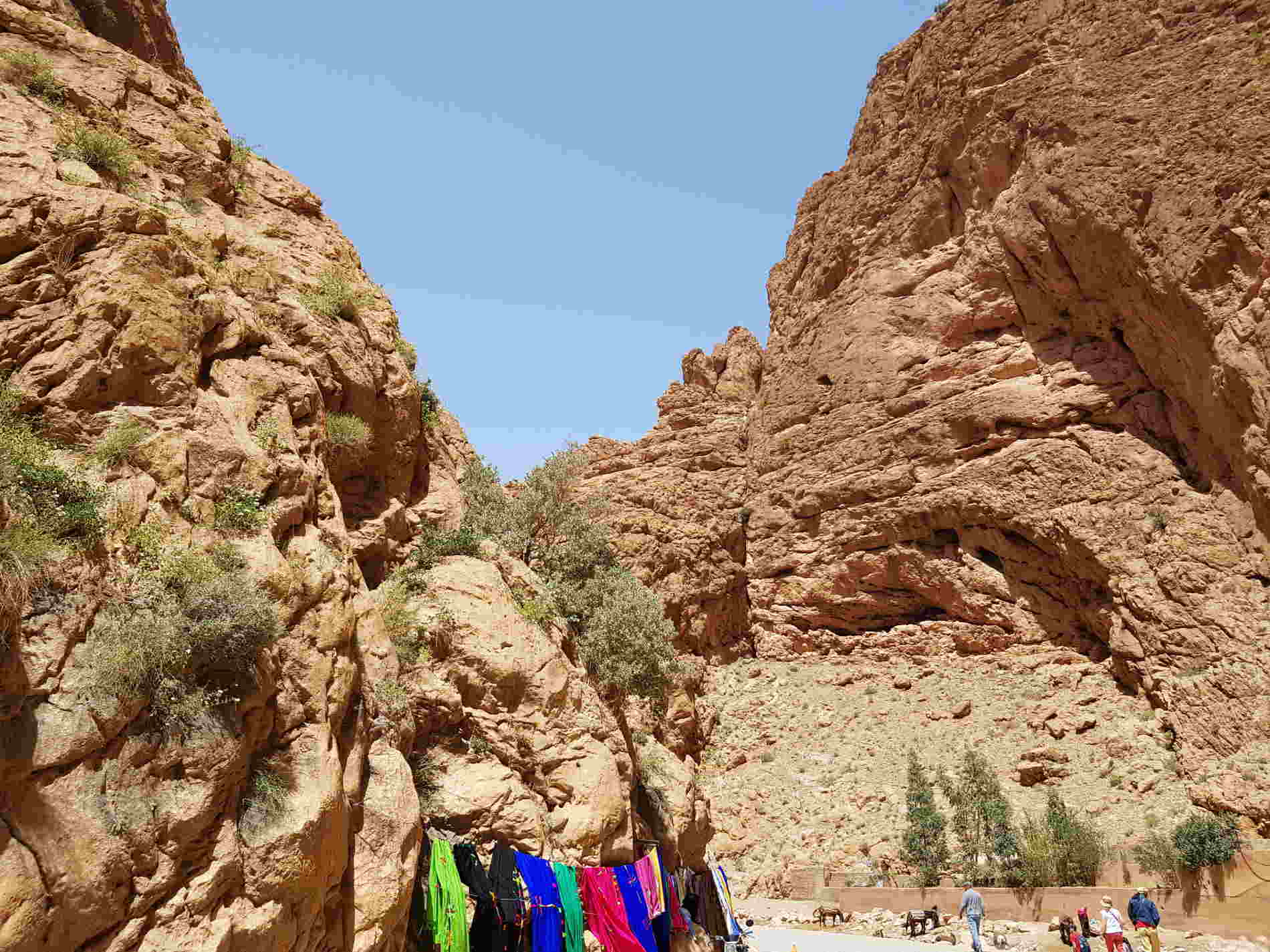 Gole del Todra cosa vedere a Ourzazate e dintorni