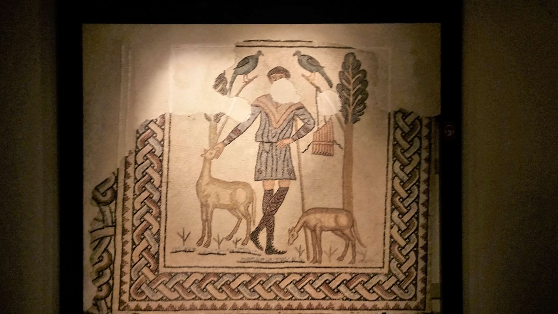 Guida a Ravenna: Cosa vedere nella Domus dei Tappeti dei Pietra