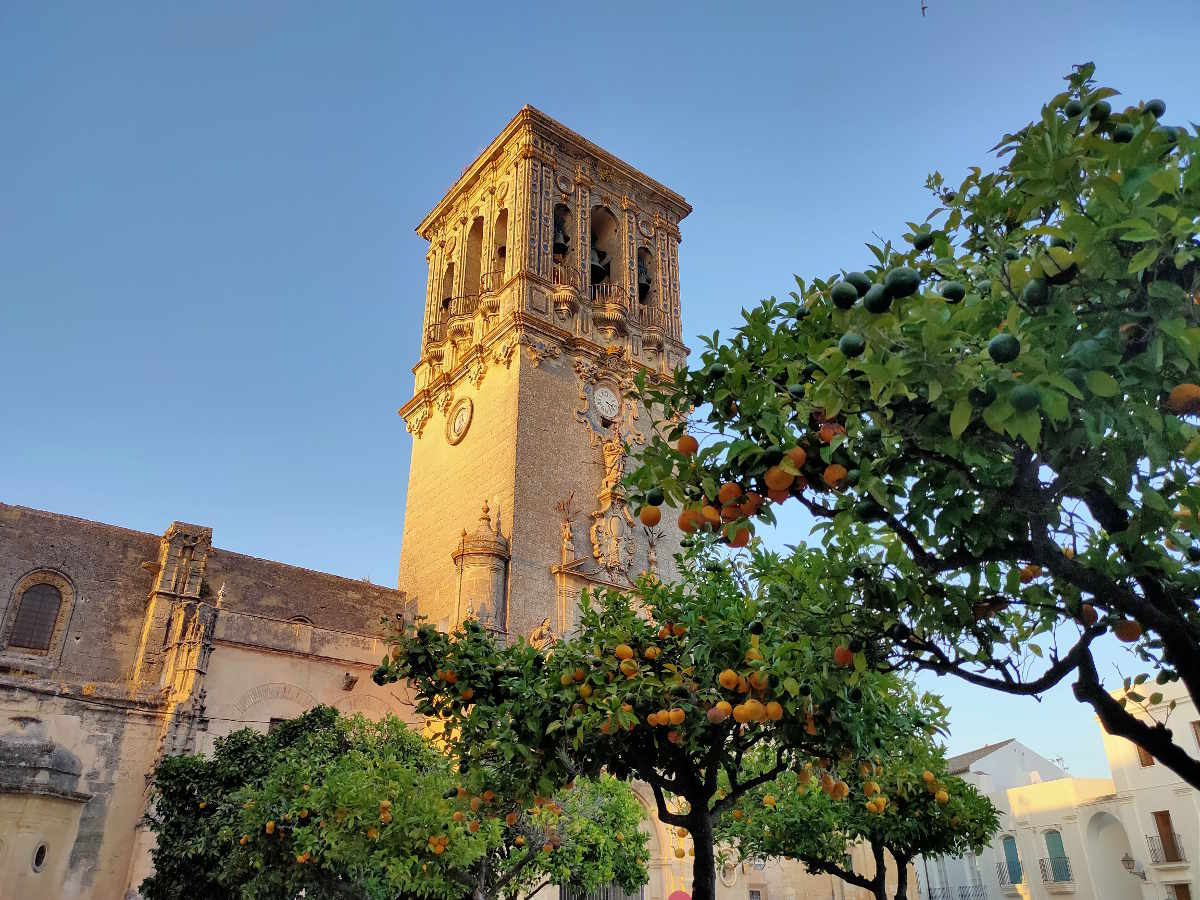 Arcos de la Frontera: case, chiese e piante di agrumi