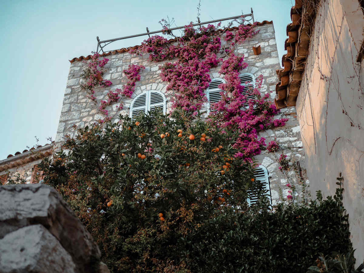 Villaggi e borghi imperdibili in Europa: Le splendide case nel Borgo di Eze in Costa Azzurra