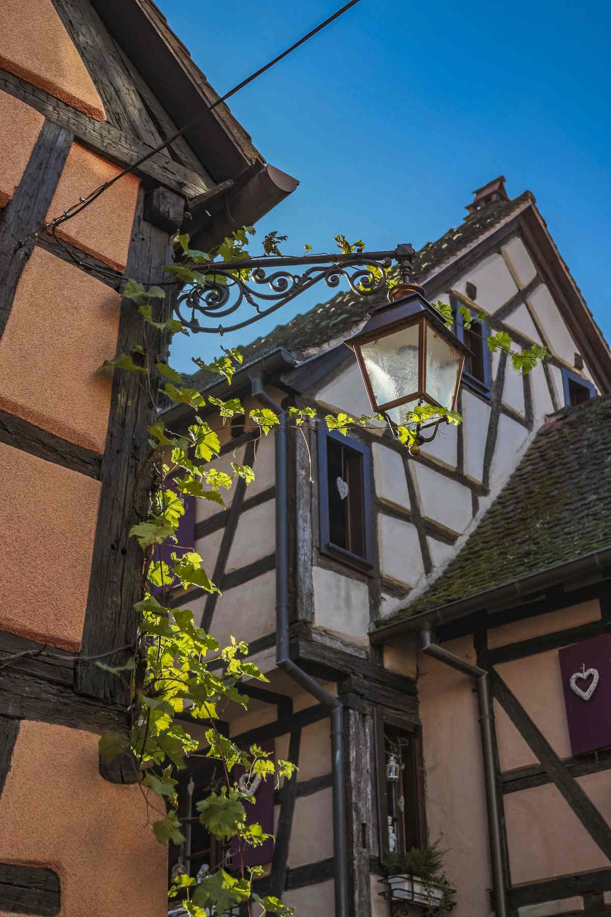 Le casette a graticcio nel borgo alsaziano di Riquewihr in Francia
