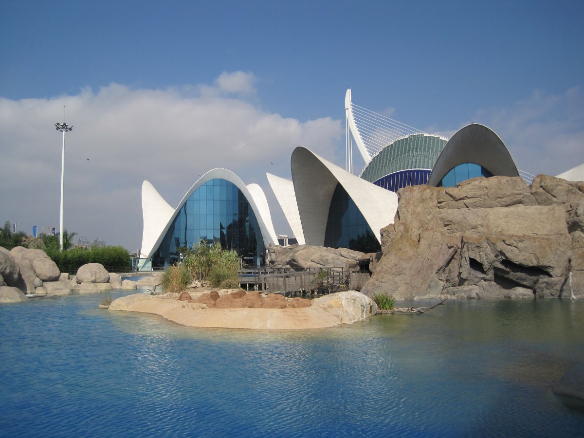 Luoghi imperdibili a Valencia- L'Oceanario nella Città delle Arti e delle Scienze
