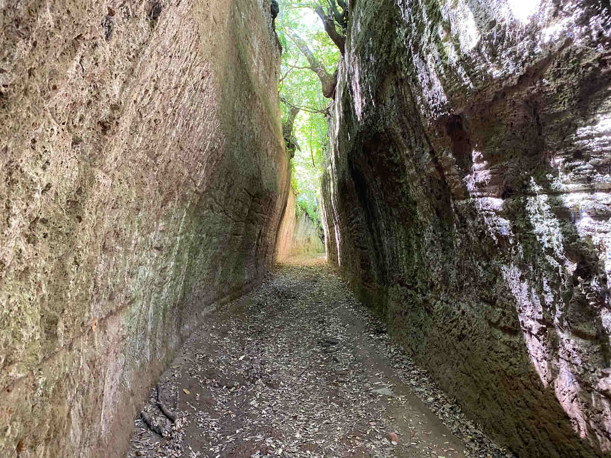 Parco delle "Città del Tufo" nella Maremma Toscana il Cavone nelle Vie Cave 