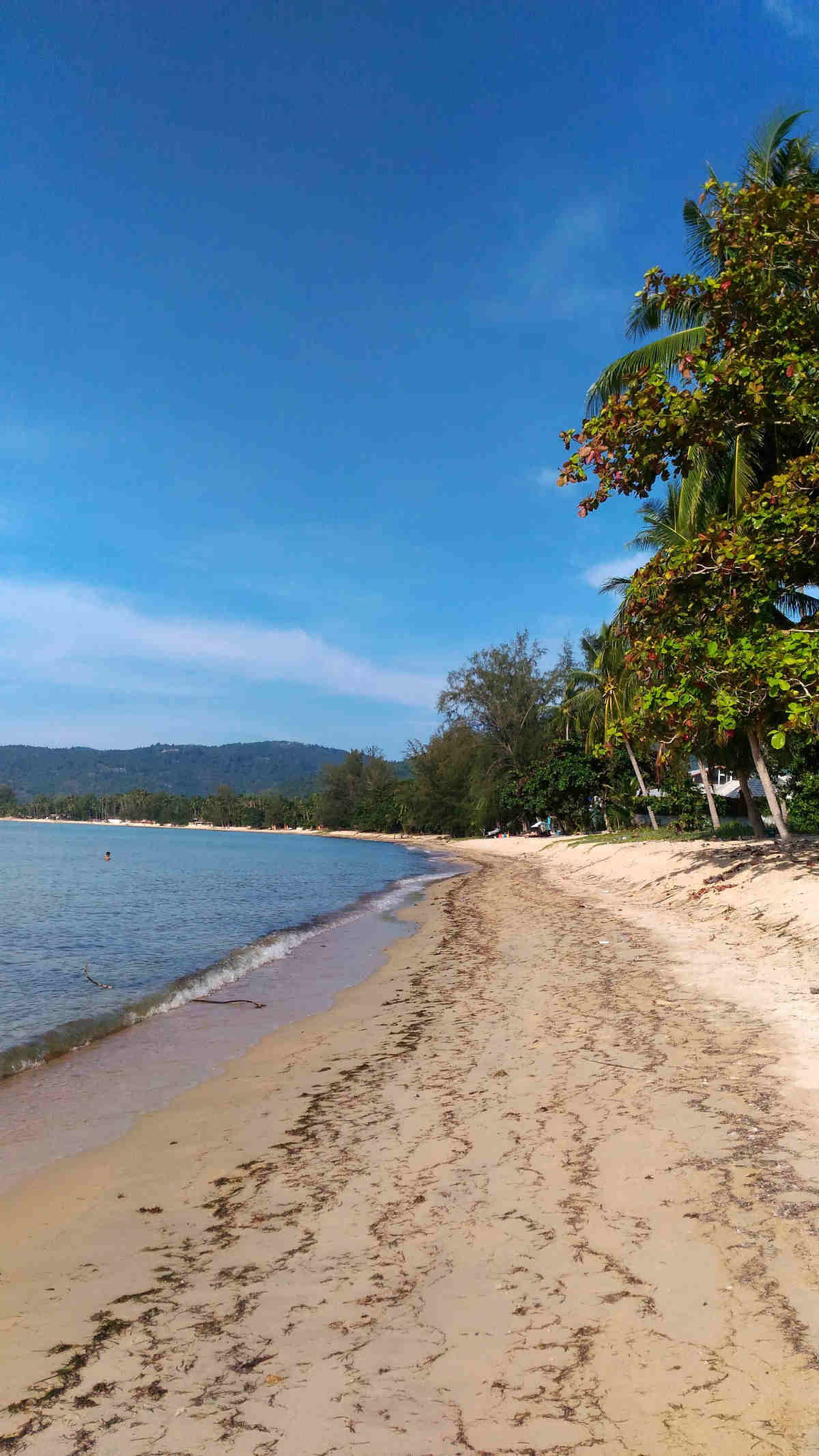 Dove trascorrere le vacanze al caldo in Inverno: Spiagge dell'Isola di Koh Samui in Thailandia