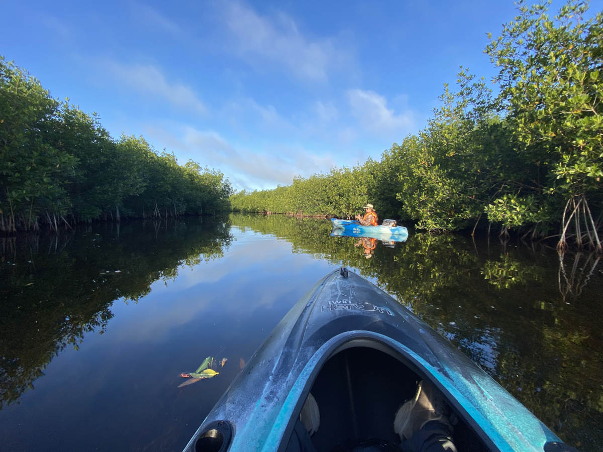 Le Everglades in Florida, destinazione di viaggio ideale in inverno