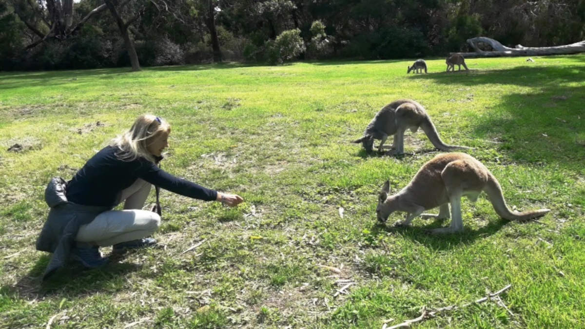 Vacanze al caldo in inverno a Kangaroo Island, in Australia fra i canguri