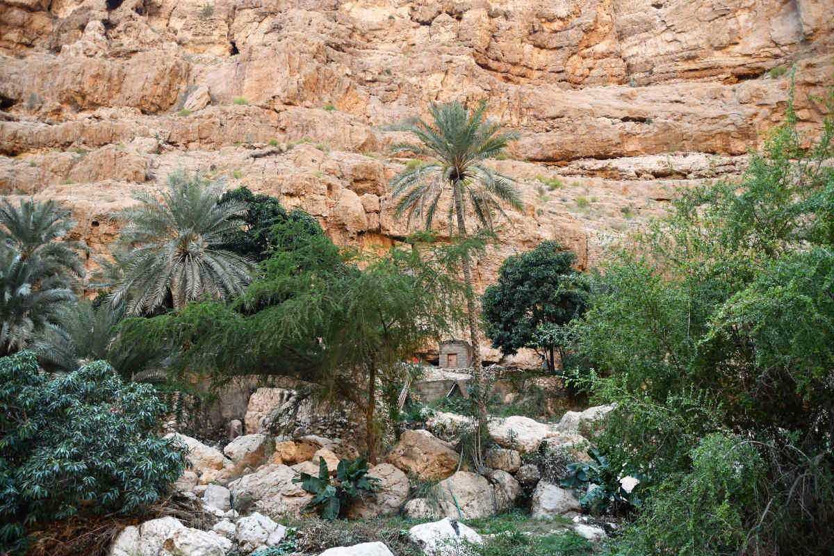 L'oasi di Wadi Shab in Oman viaggio