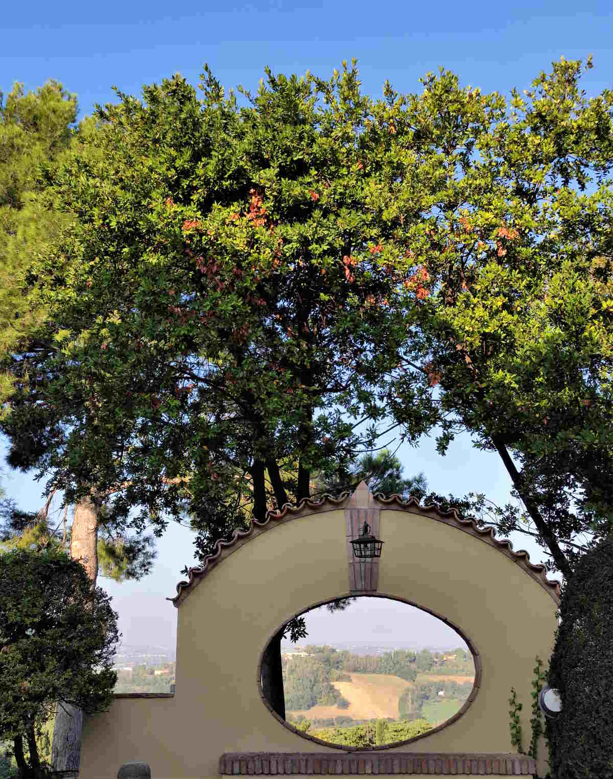 Scorci panoramici dal parco dell' Historic Resort La Loggia 