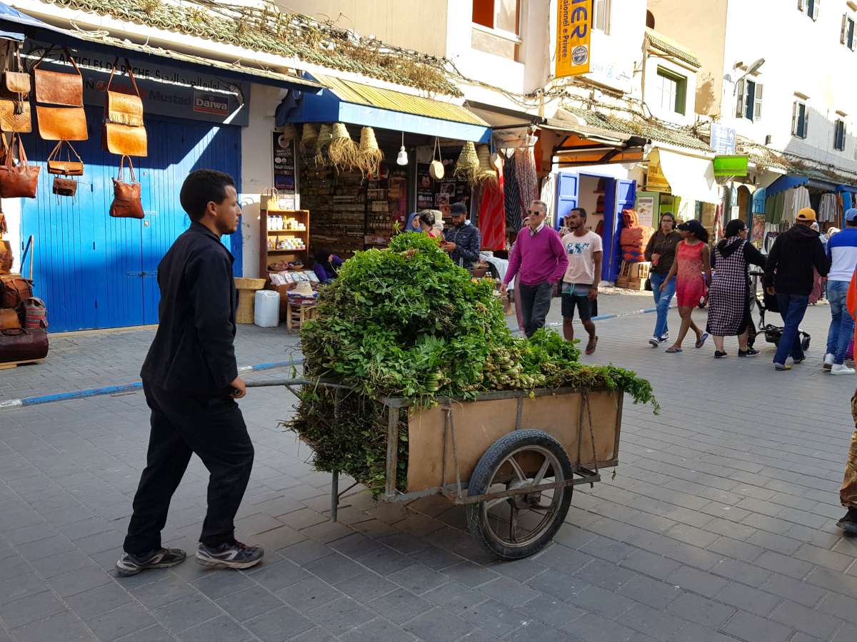 Autenticità della vita quotidiana nella medina di Essaouira