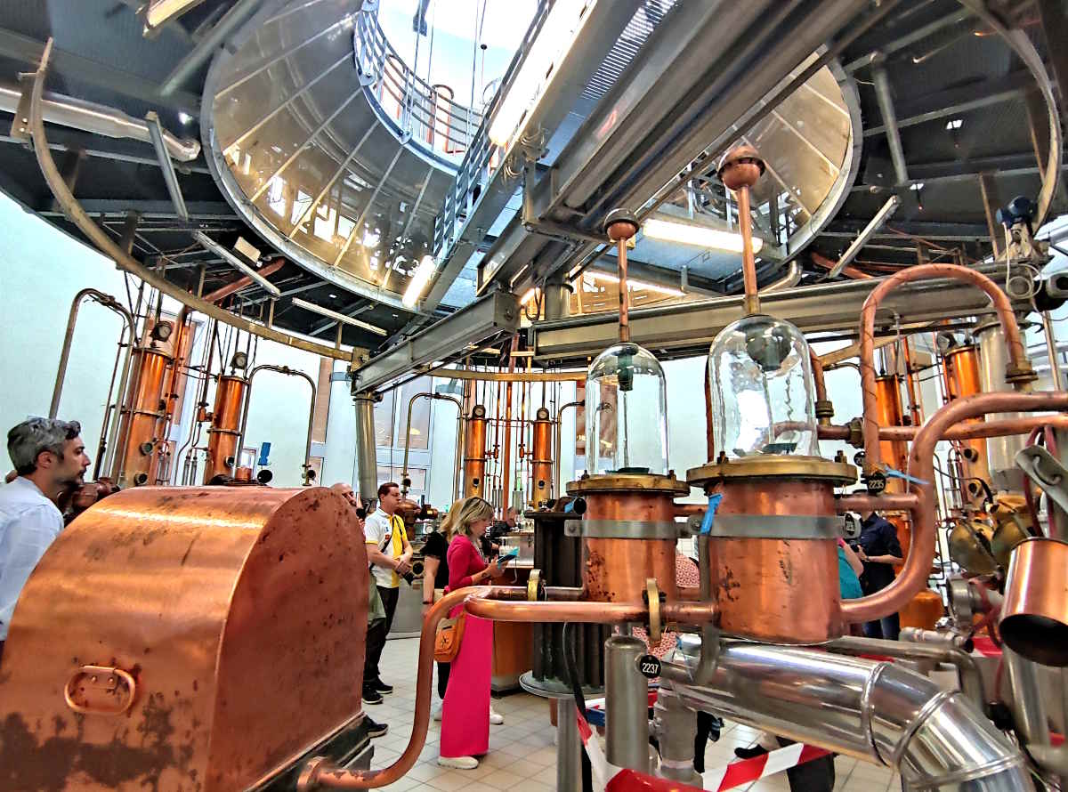 Esperienze enogastronomiche in un weekend a Trento: La Distilleria di Grappa Marzadro