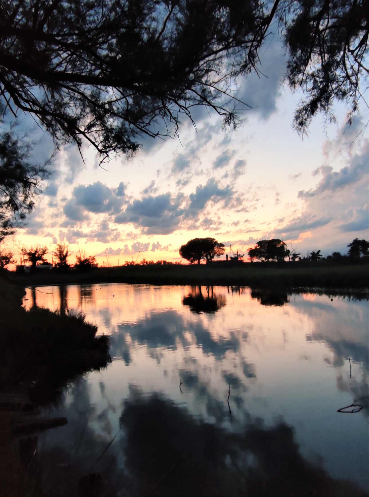 Uno scorcio dello splendido tramonto visto dal Ristorante "Bettolino di Foce" nelle Valli comacchiesi - Ferrara