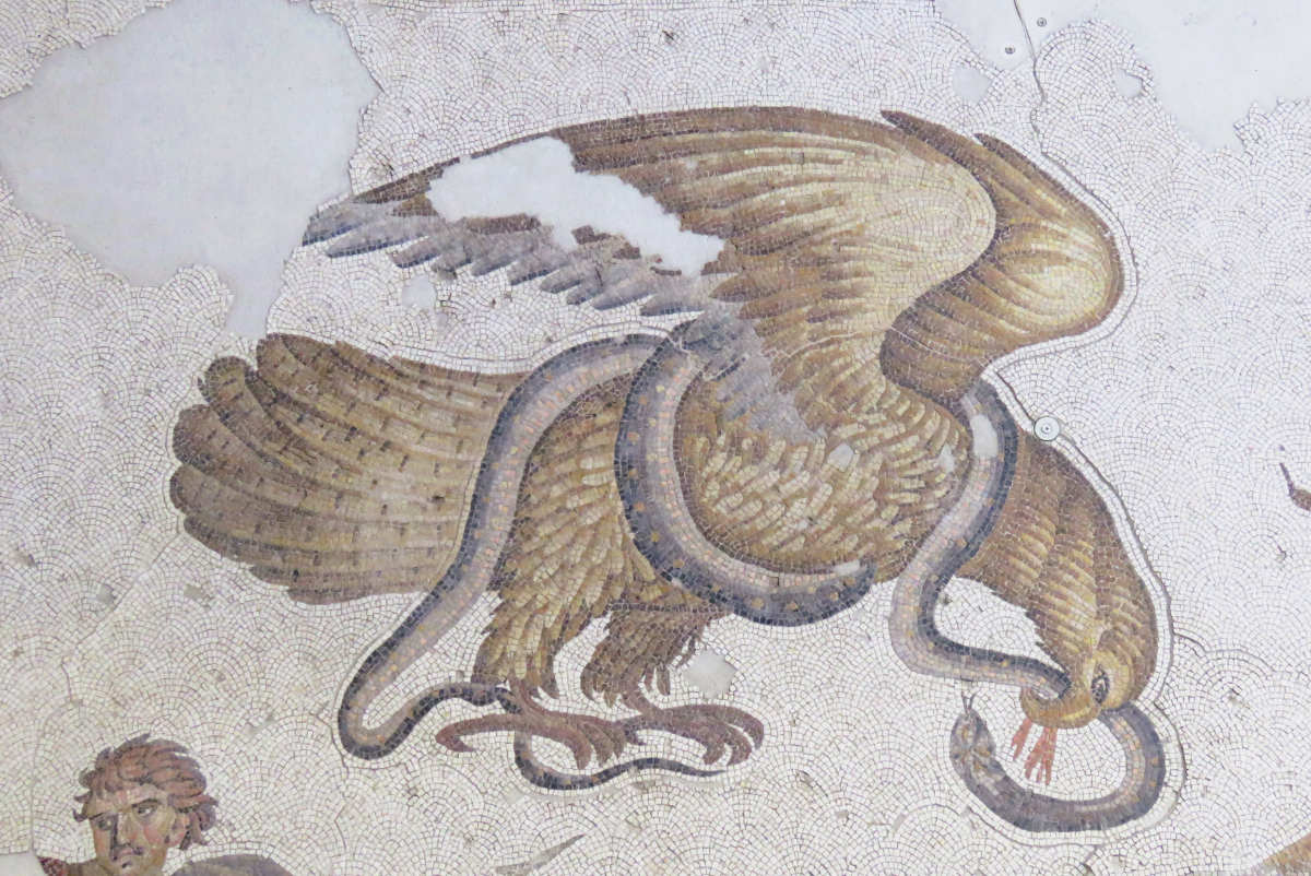  Museo dei Mosaici del Gran Palazzo