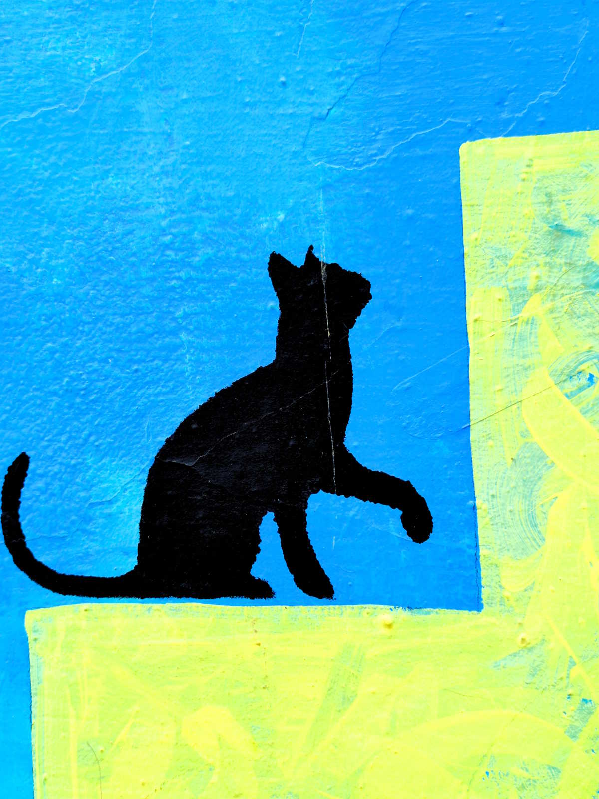 Gatti ovunque, anche sui muri della medina Gatti ovunque, anche sui muri della medina