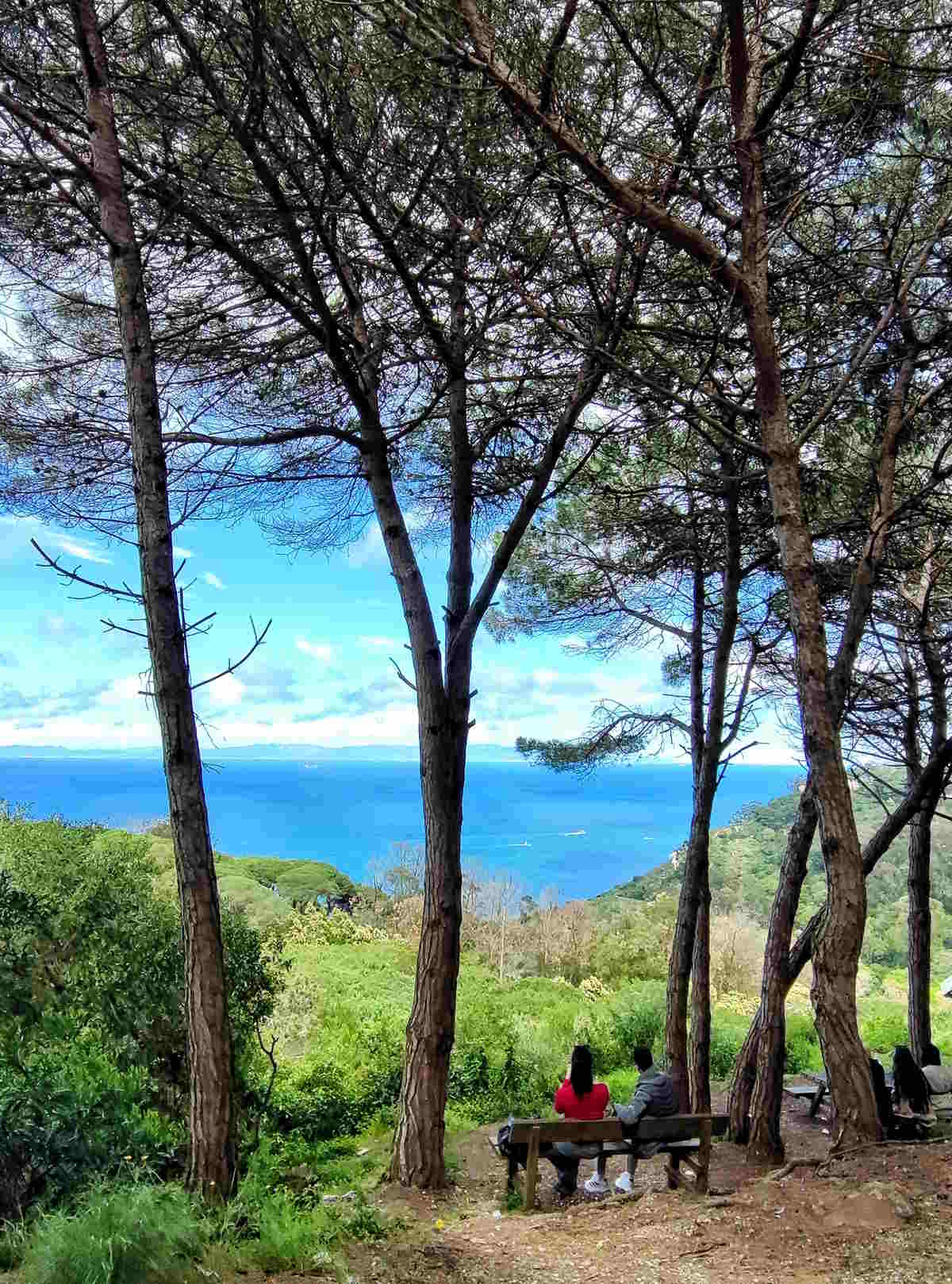 Luoghi imperdibili a Tangeri: Il Parco Perdicaris, noto anche come Foresta di Rmilat Luoghi imperdibili a Tangeri: Il Parco Perdicaris, noto anche come Foresta di Rmilat