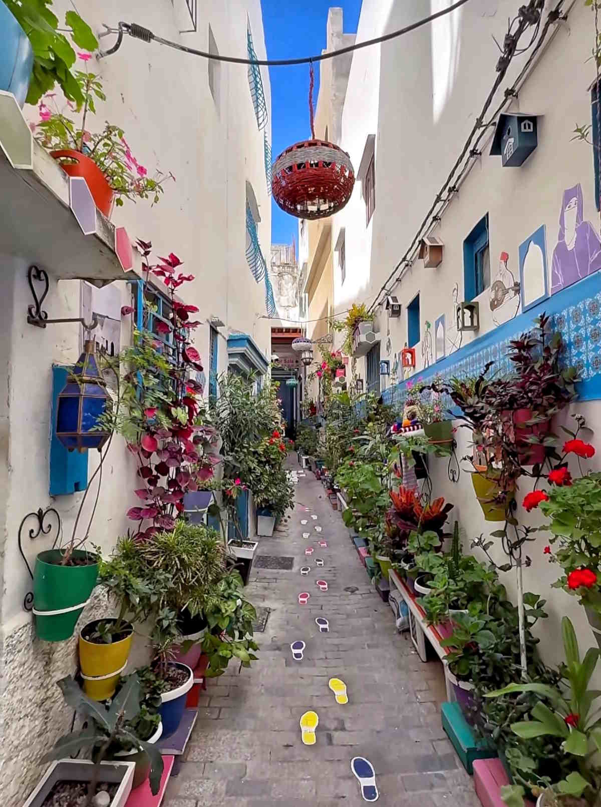 La bella via di Rue Tanaker nella Kasbah tangerina La bella via di Rue Tanaker nella Kasbah tangerina